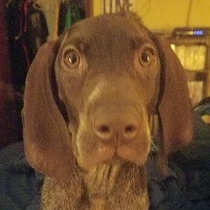 Meet your Posher, Robert